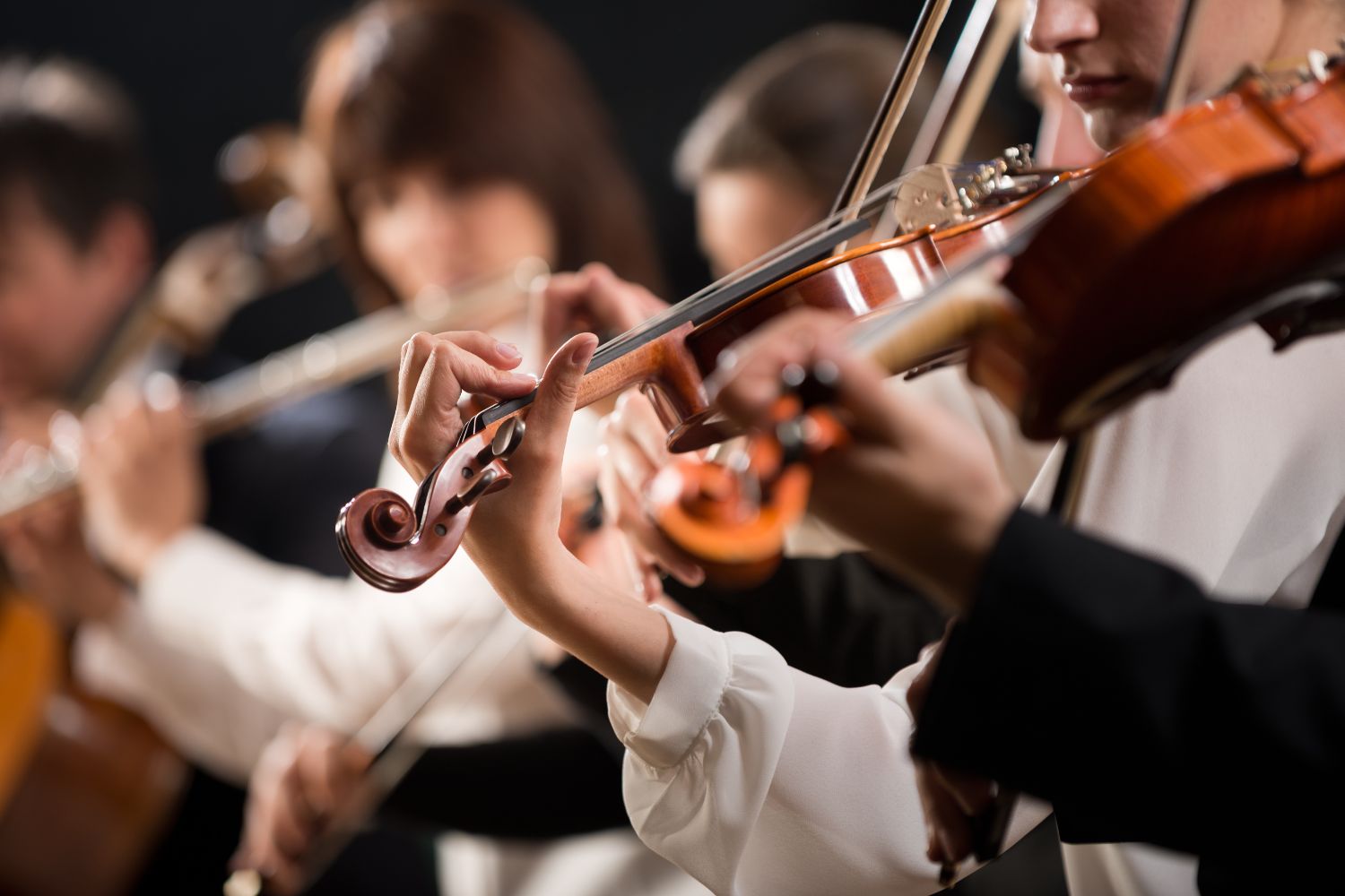 concerto violino