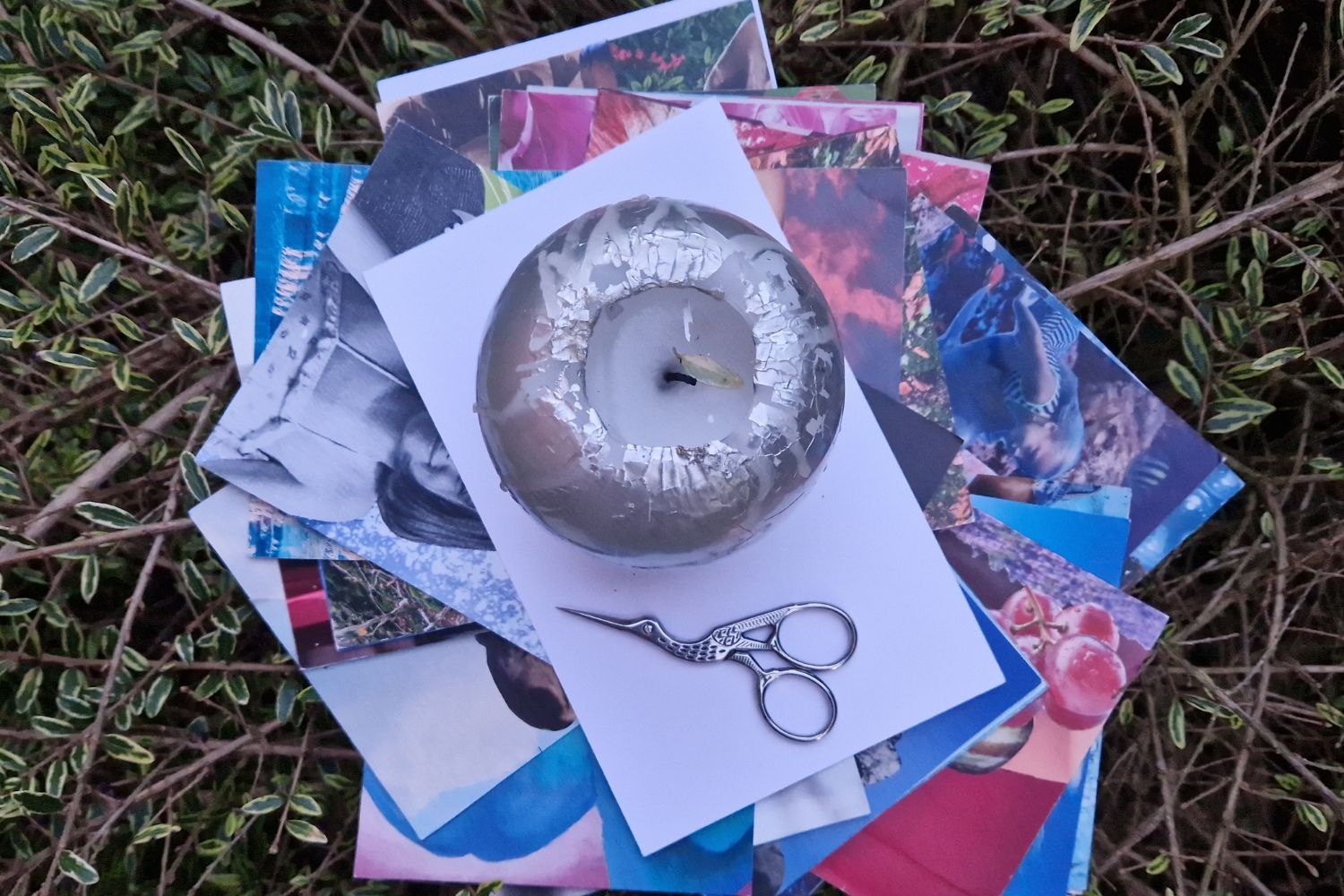 Corso-soulcollage®-Radici-e-fronde