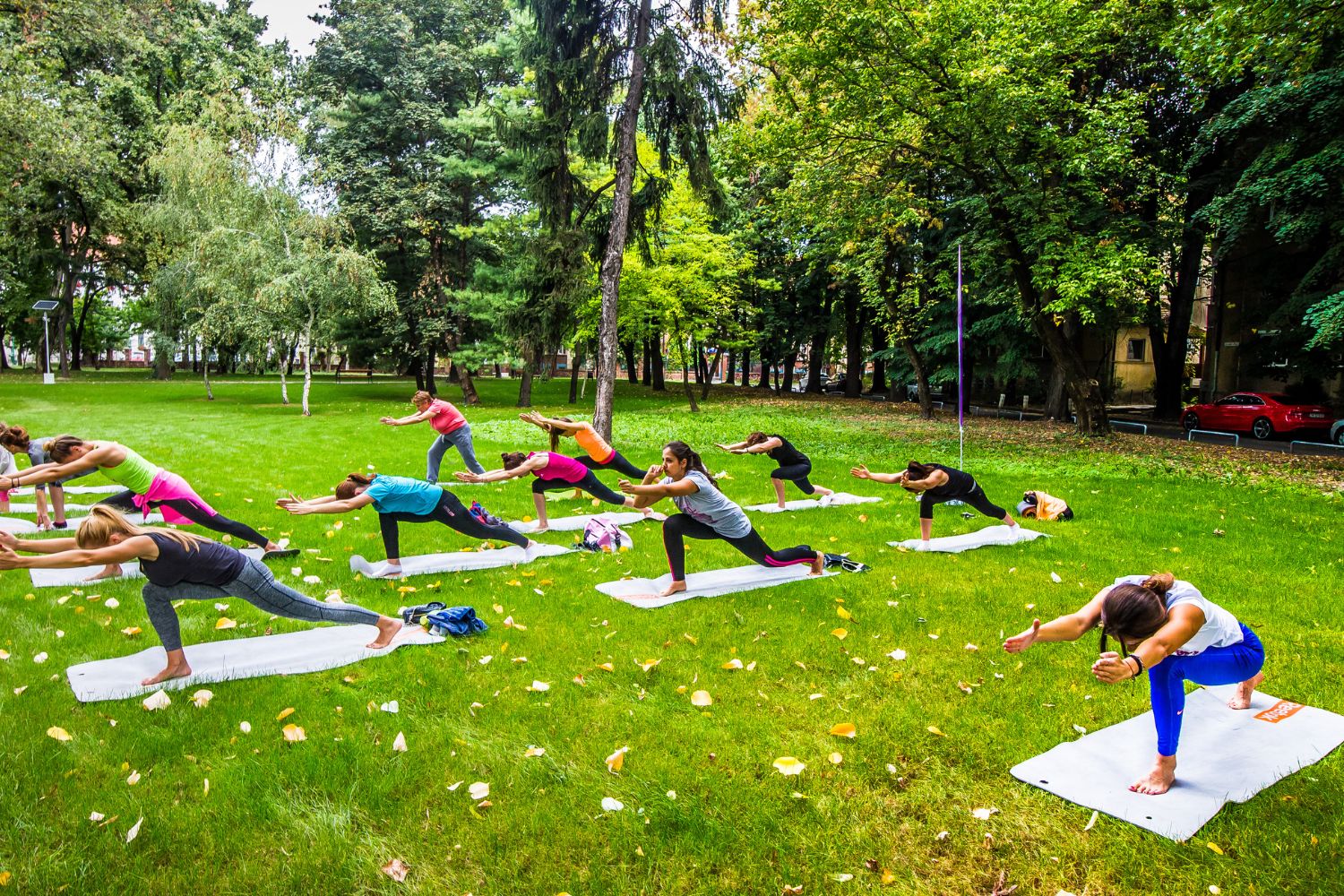 Yoga In Natura