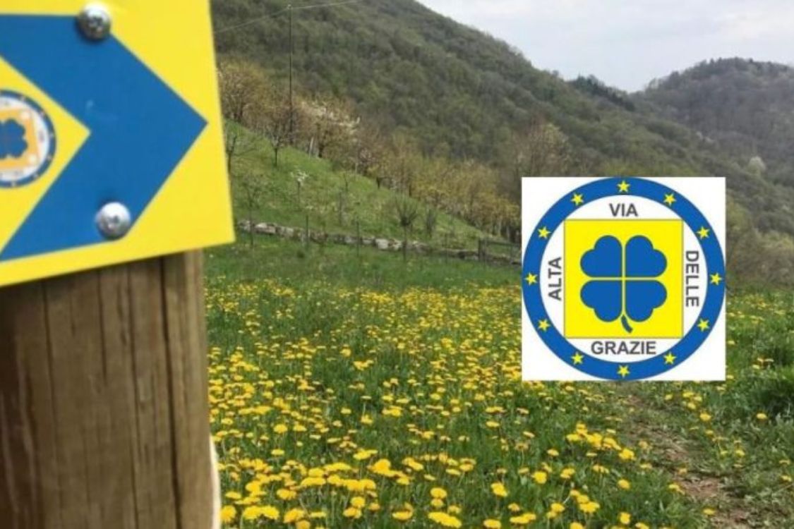 TERZA UNIVERSITÀ