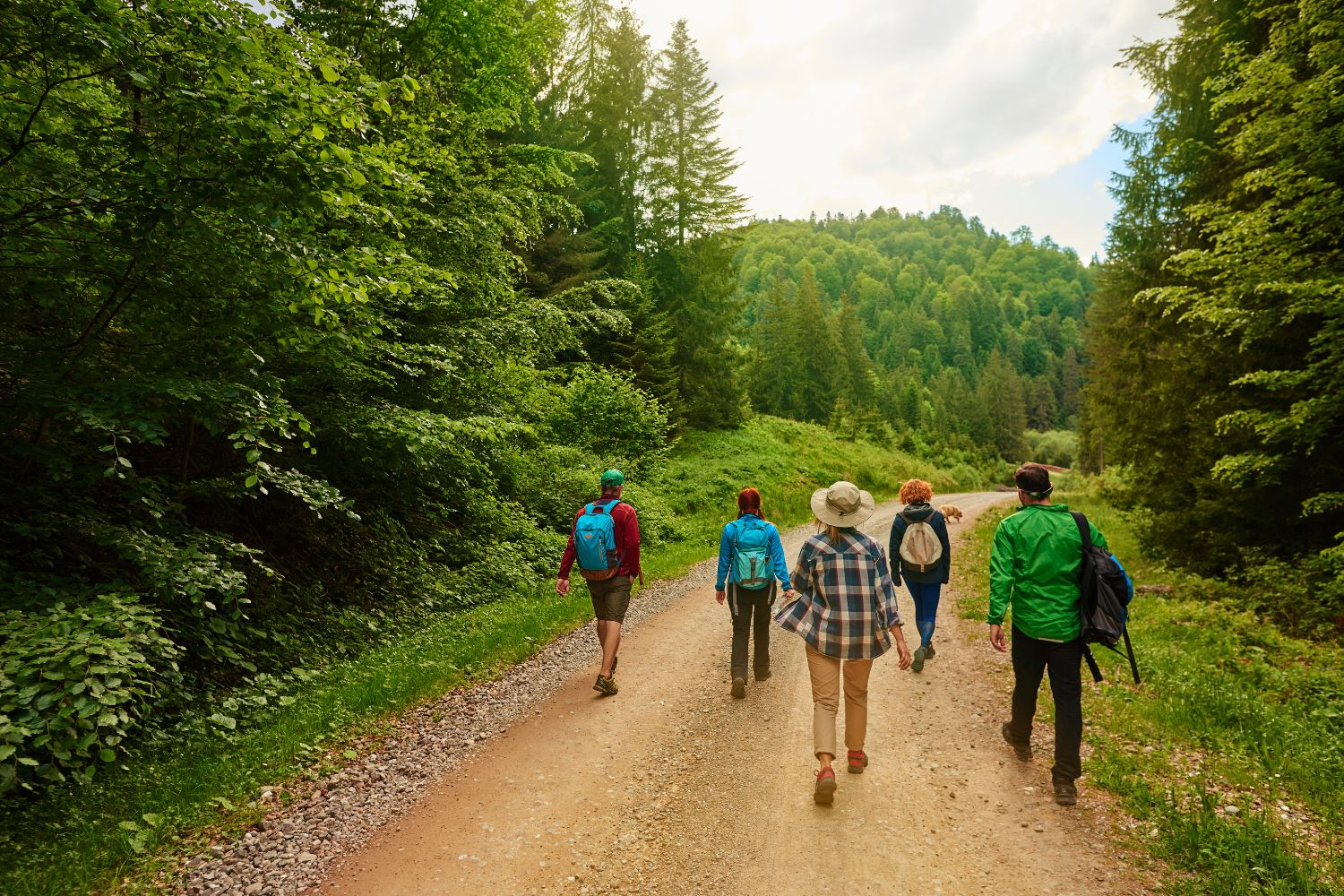 Camminata Con Gli Alpini