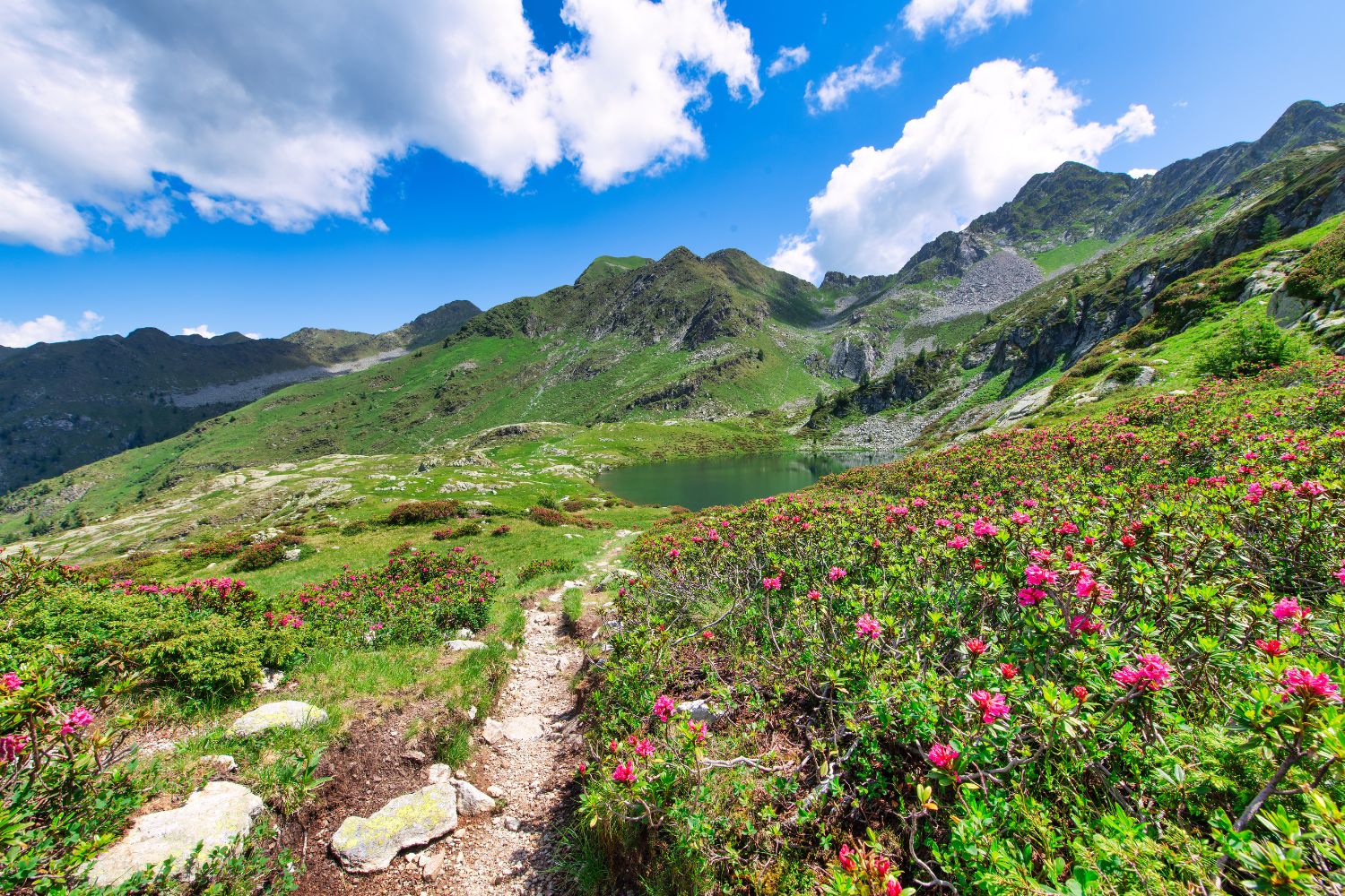 Nel Cuore Della Montagna